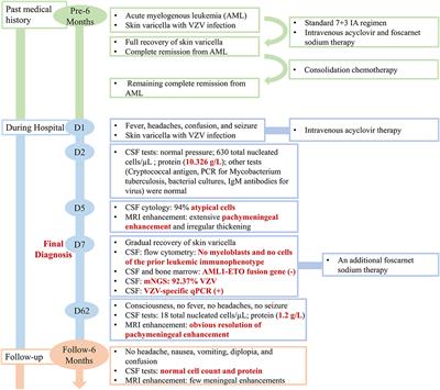 Case Report: Unusual Varicella-Zoster Virus Meningoencephalitis With Meningomyelitis Mimicking Central Nervous System Leukemia